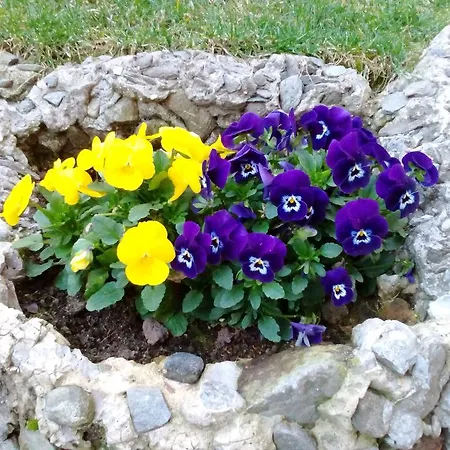 Casa Lari Apartmanhotel 4*