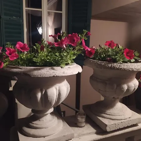 Casa Lari 公寓式酒店