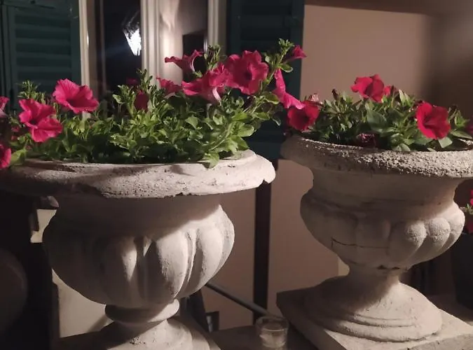 Casa Lari アパートホテル