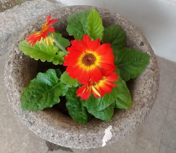 Casa Lari 4* ストレーザ