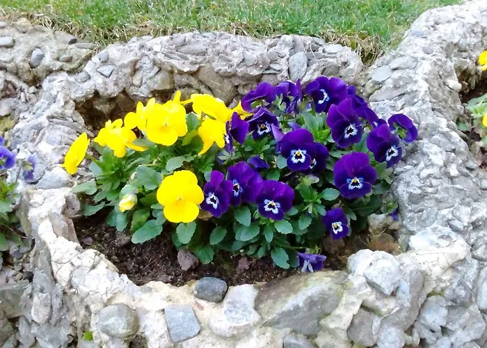 Casa Lari アパートホテル 4*